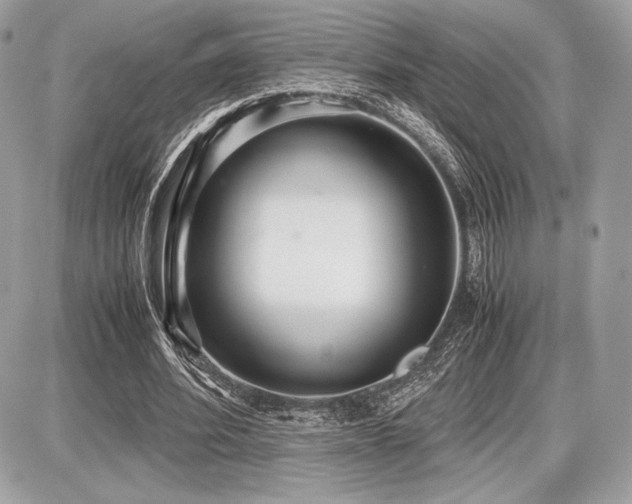 X0000087690580200705041040