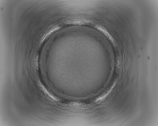 X0000087690585200705041040