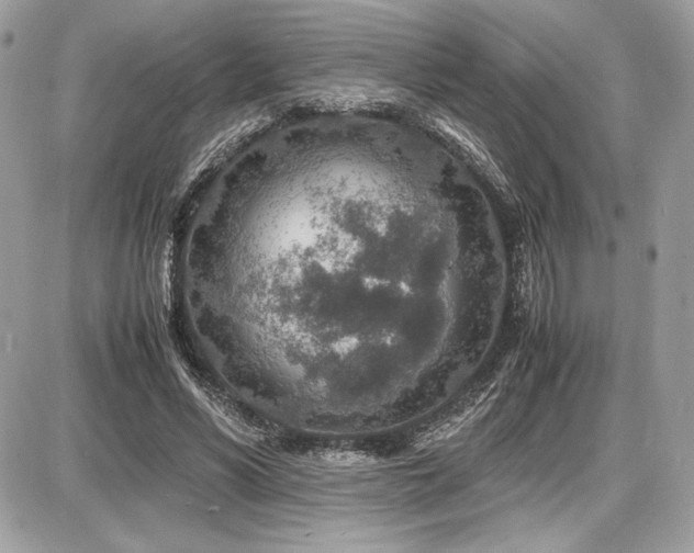X0000087690590200705041040