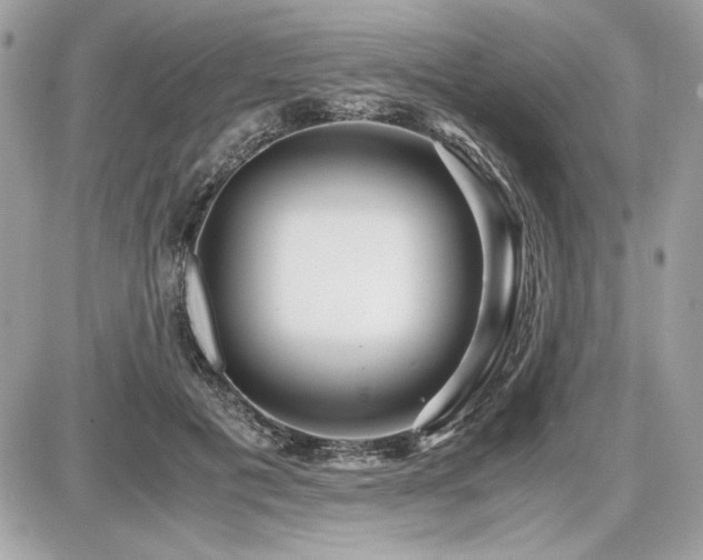 X0000087690601200705041040