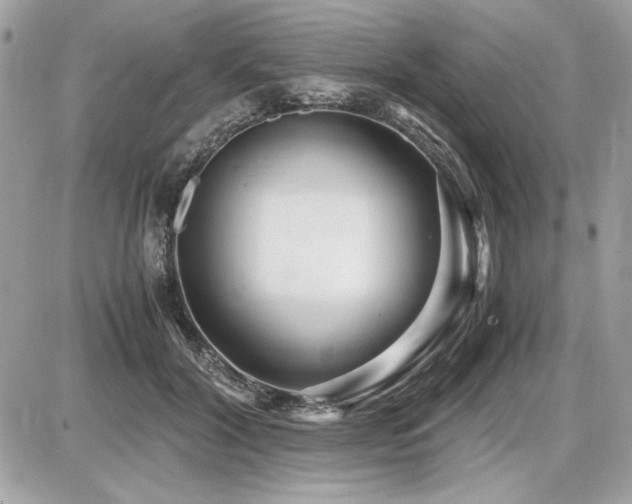 X0000087690604200705041040