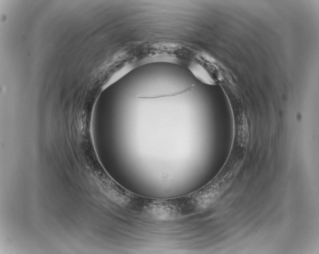 X0000087690608200705041039