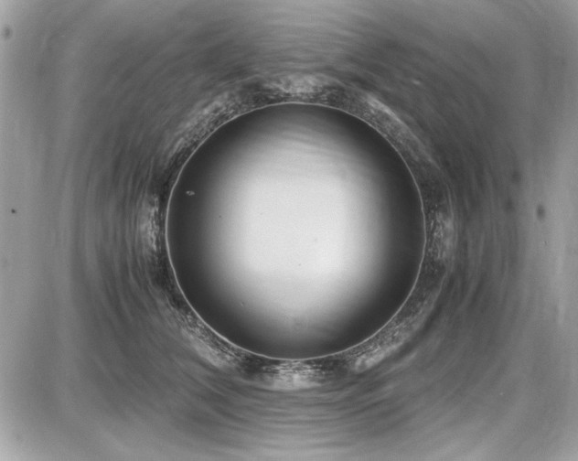 X0000087690612200705041039