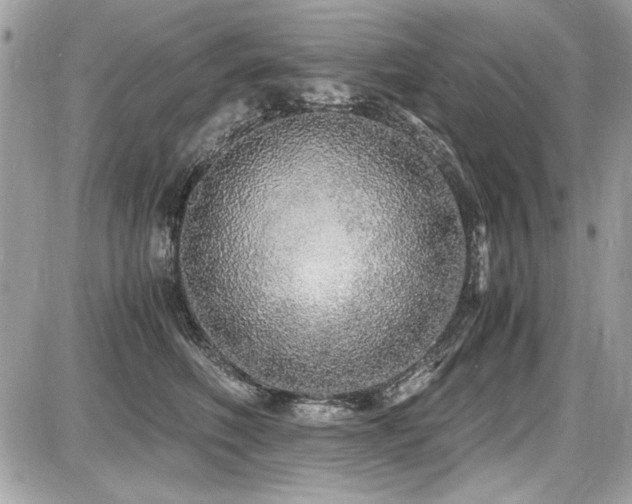 X0000087690614200705041039