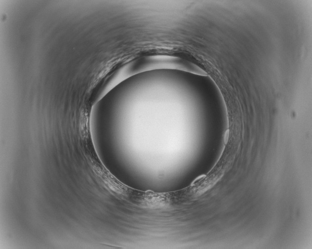 X0000087690624200705041039