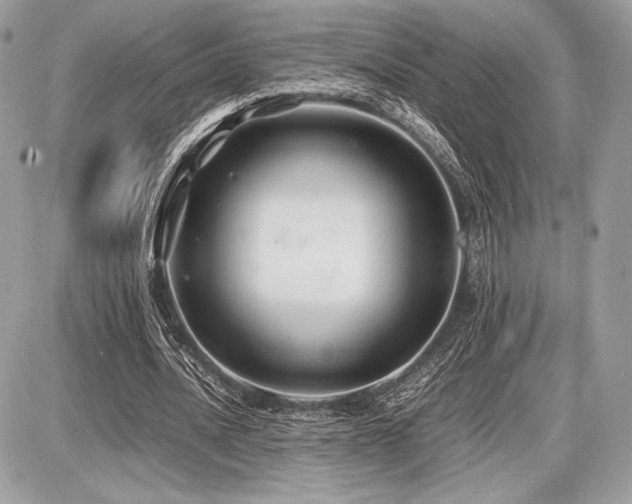 X0000087690628200705041038