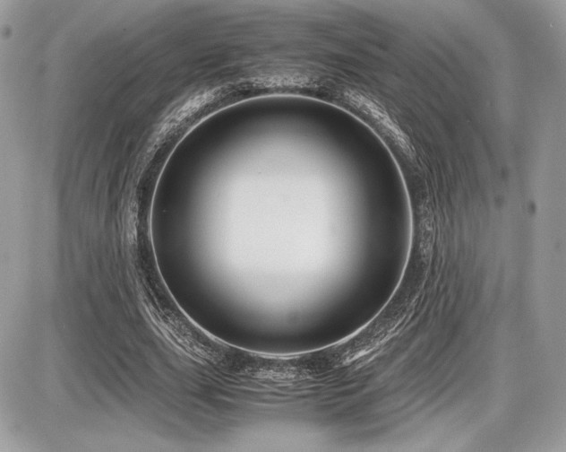 X0000087690631200705041038