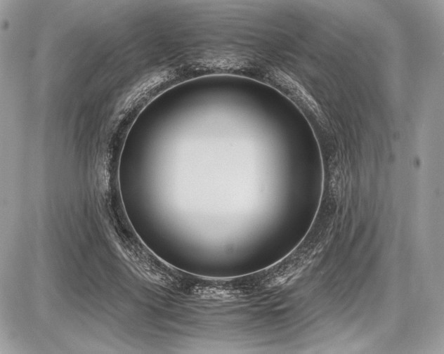 X0000087690635200705041039