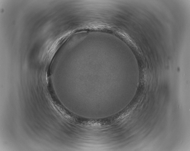 X0000087690640200705041039