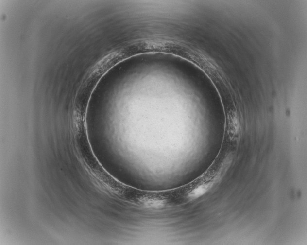 X0000087690648200705041039