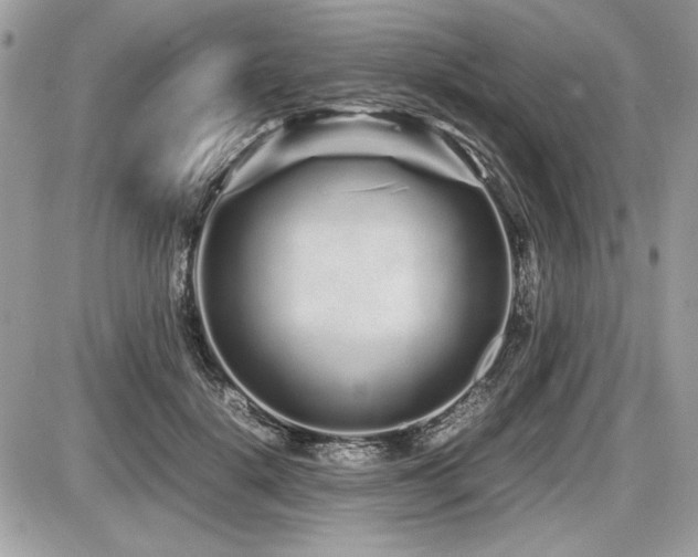 X0000087690652200705041039