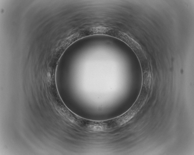 X0000087690655200705041039