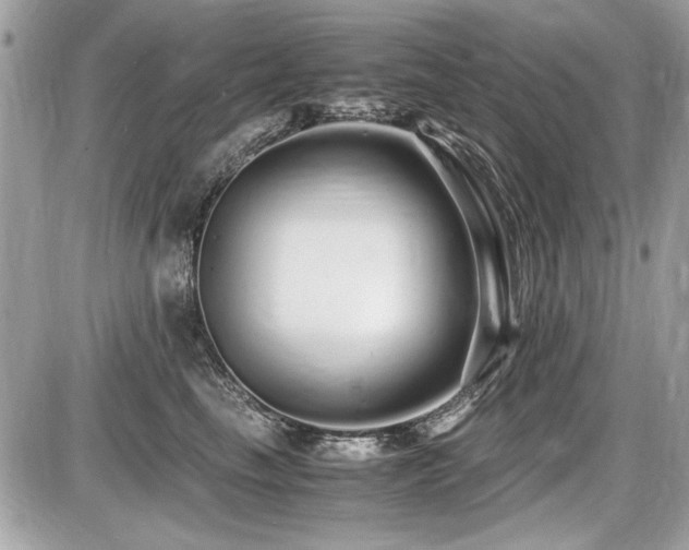 X0000087690665200705041039
