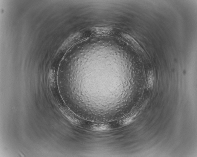 X0000087690667200705041039
