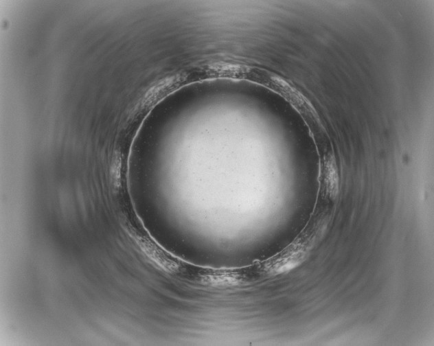 X0000087690668200705041039