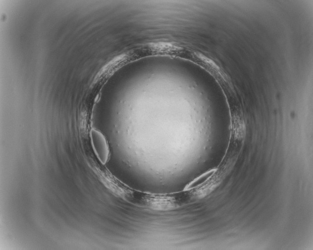 X0000087690670200705041039
