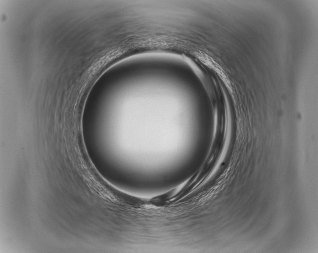 X0000087690673200705041038
