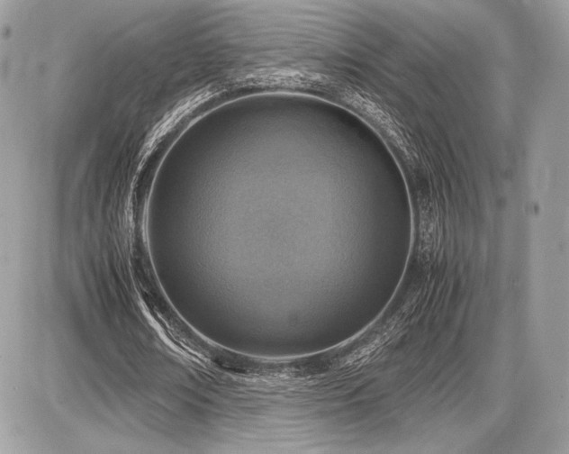 X0000087690674200705041038