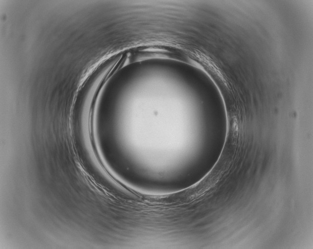 X0000087690676200705041038