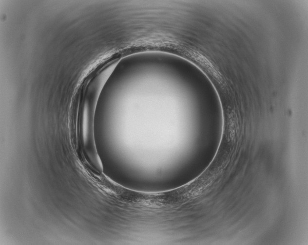 X0000087690680200705041038