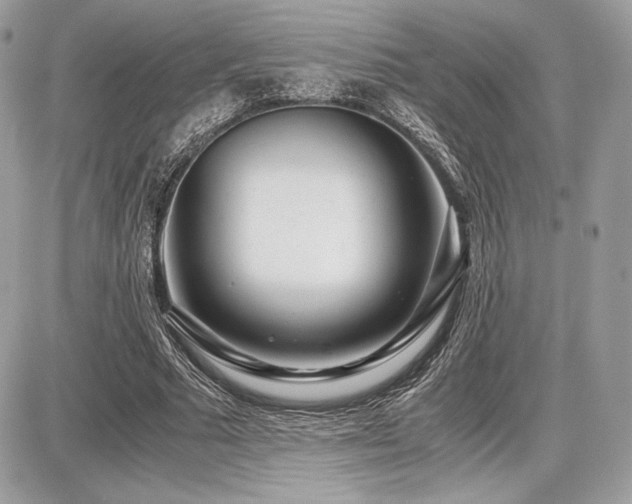 X0000087690681200705041038