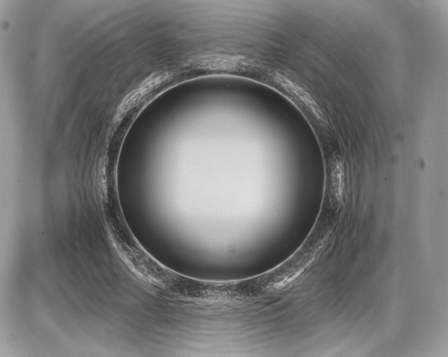 X0000087690682200705041038