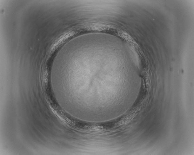 X0000087690683200705041038