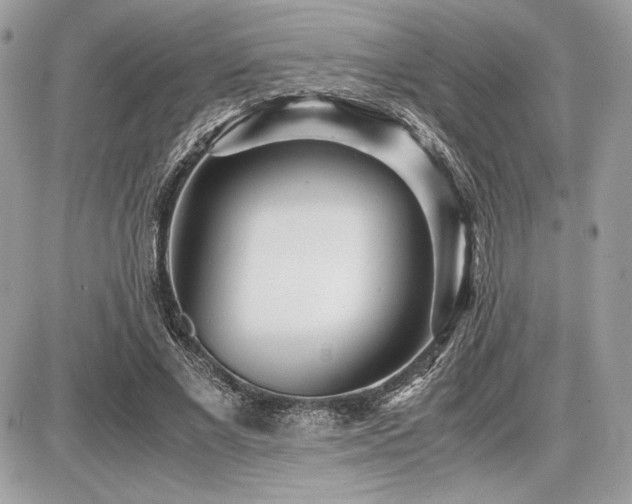 X0000087690685200705041038