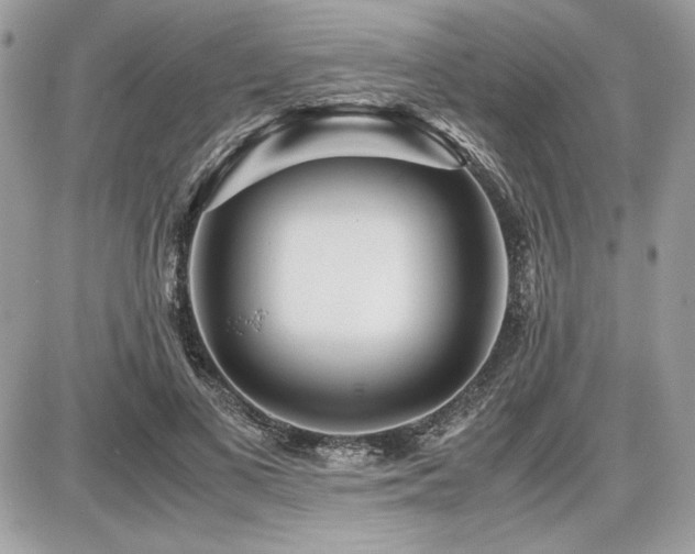 X0000087690693200705041038