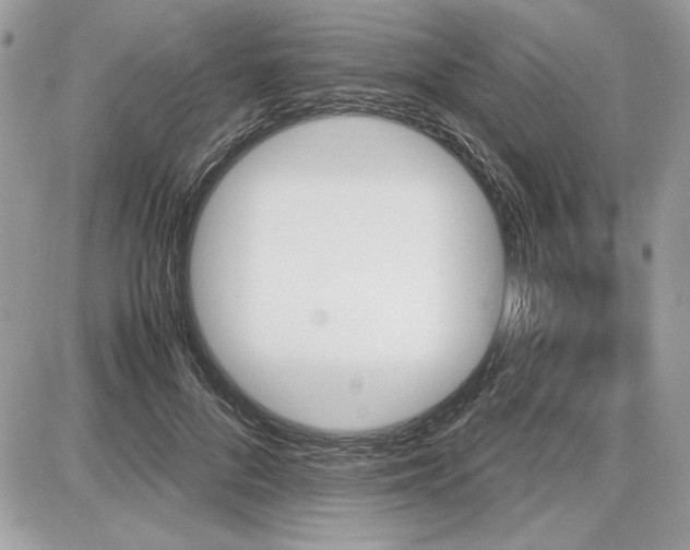 X0000087690696200705041038