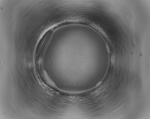 X0000087690724200705041037