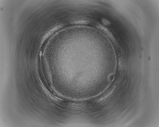 X0000087690725200705041037