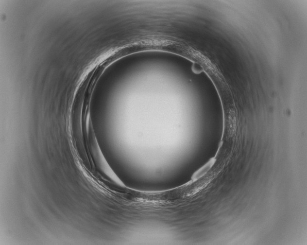 X0000087690726200705041037