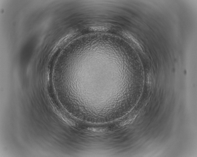X0000087690733200705041037