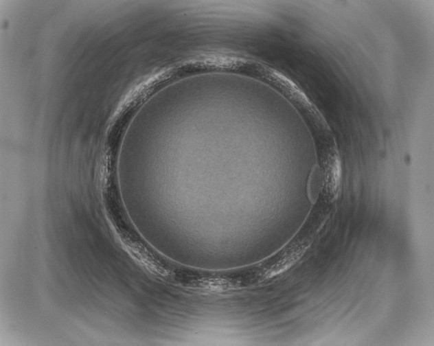 X0000087690736200705041037