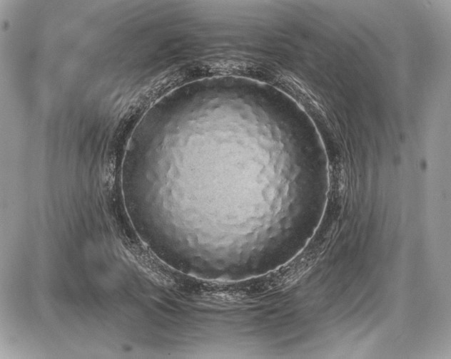 X0000087690737200705041037