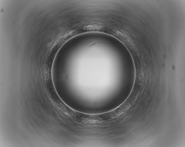 X0000087690743200705041037