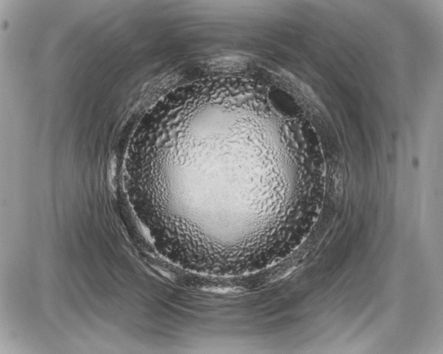 X0000087690745200705041037