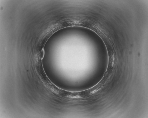 X0000087690747200705041037