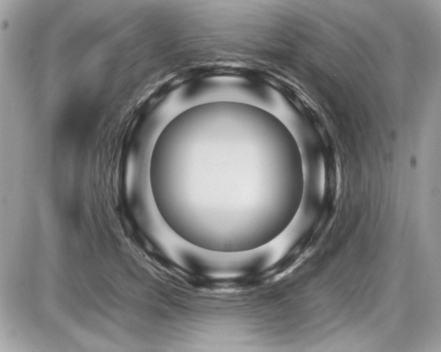 X0000087690750200705041037