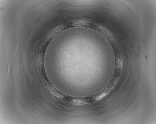 X0000087690753200705041037