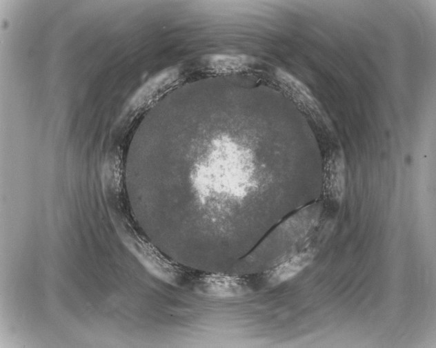 X0000087690762200705041037