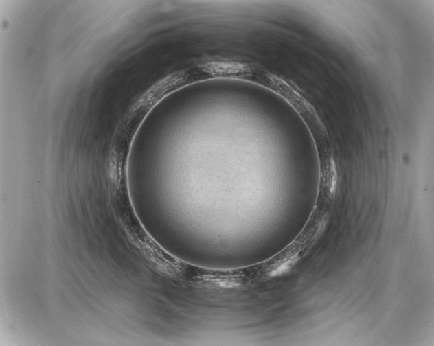 X0000087690763200705041038