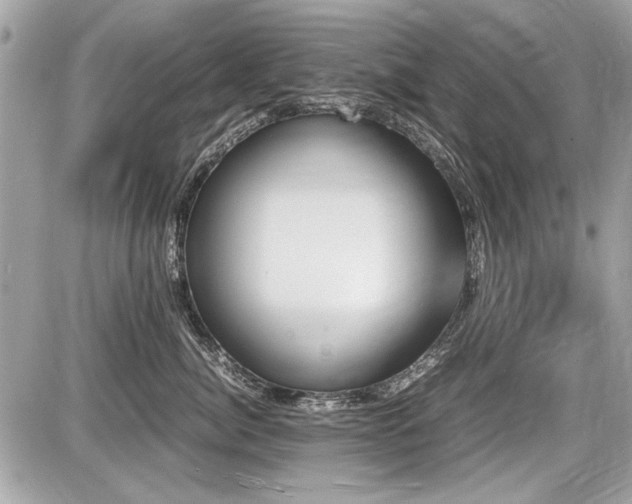 X0000087690764200705041038