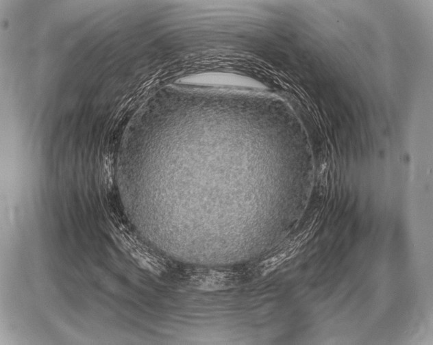 X0000087690772200705041037