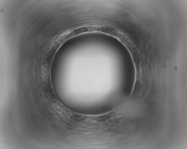 X0000087690773200705041037