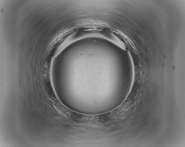 X0000087690775200705041037