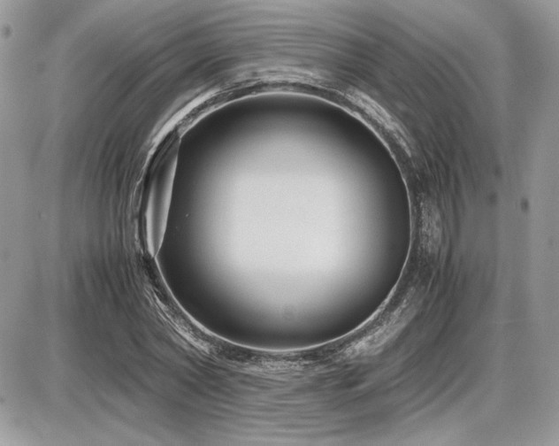 X0000087690782200705041037