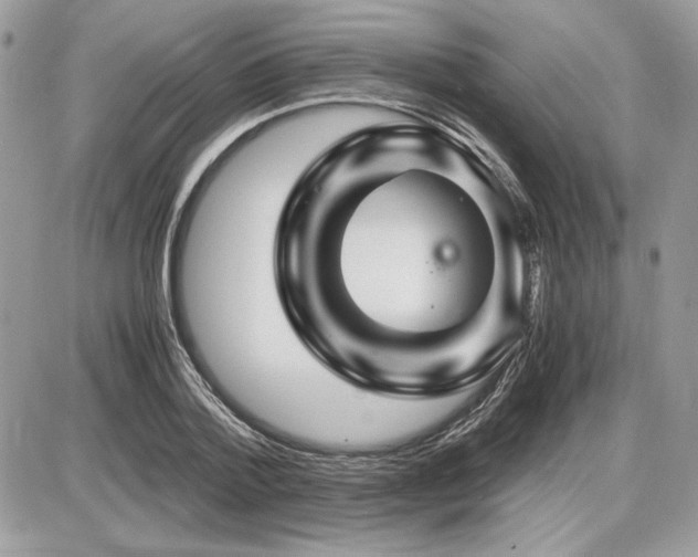 X0000087690788200705041036