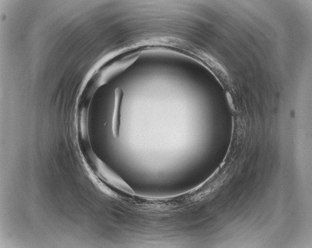 X0000087690792200705041036